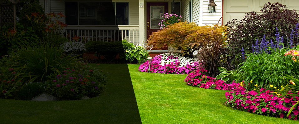 Shenandoah Landscapers