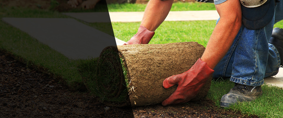 Shenandoah Landscapers
